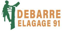 elagage-debarre-elagage